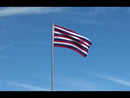 Fort Mifflin Continental Navy Jack Flags
