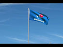 Dominos Pizza Flag
