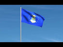 U.S. Air Force Flags
