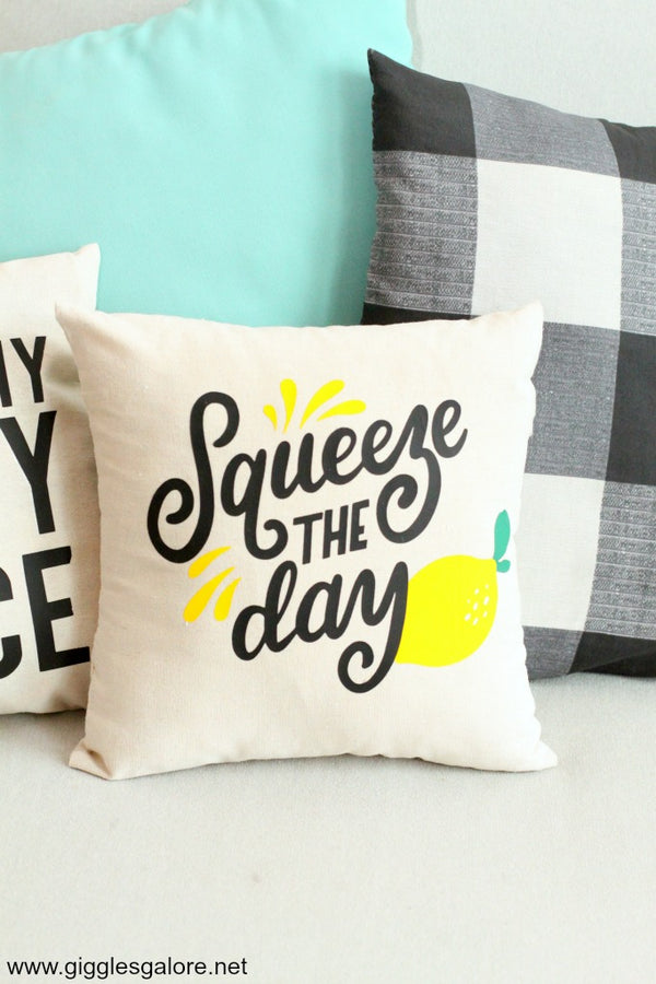 Squeeze The Day Pillow